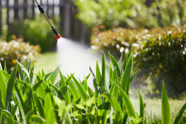 Tamper-Resistant Bait Stations for Rodents in Belmont