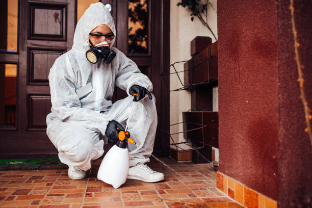 Attic and Crawl Space Rodent Treatment in Belmont